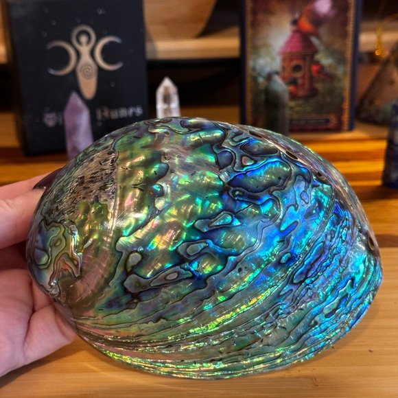 Smudging Bundle! Organic white sage & abalone shell - Picture 6 of 6